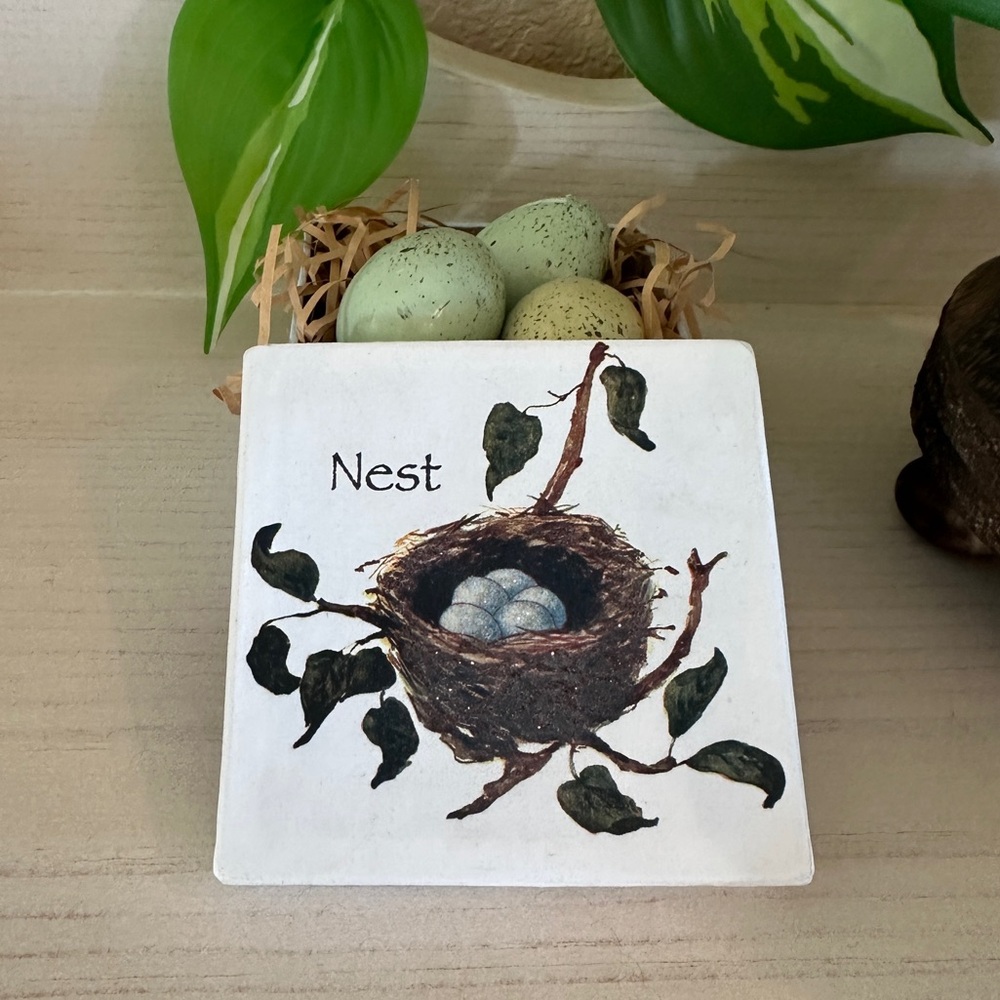 Birds Nest Decor Display Storage Box